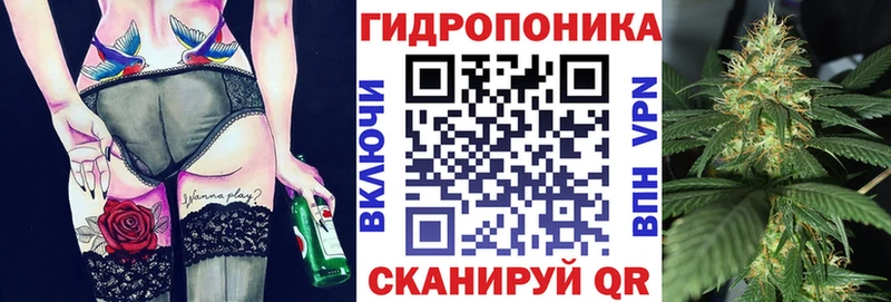 Купить где  Цоци-Юрт  Бошки Шишки конопля 